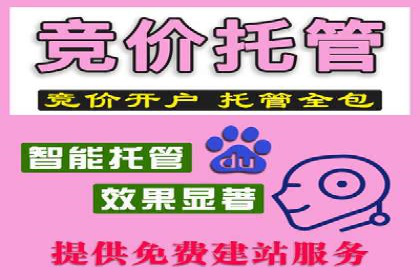 某电商平台的SEM竞价推广实践